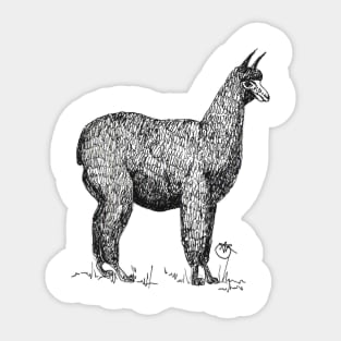 No drama Llama! Sticker